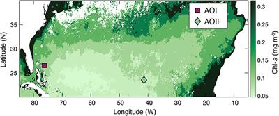 Microbial ecosystem responses to alkalinity enhancement in the North Atlantic Subtropical Gyre